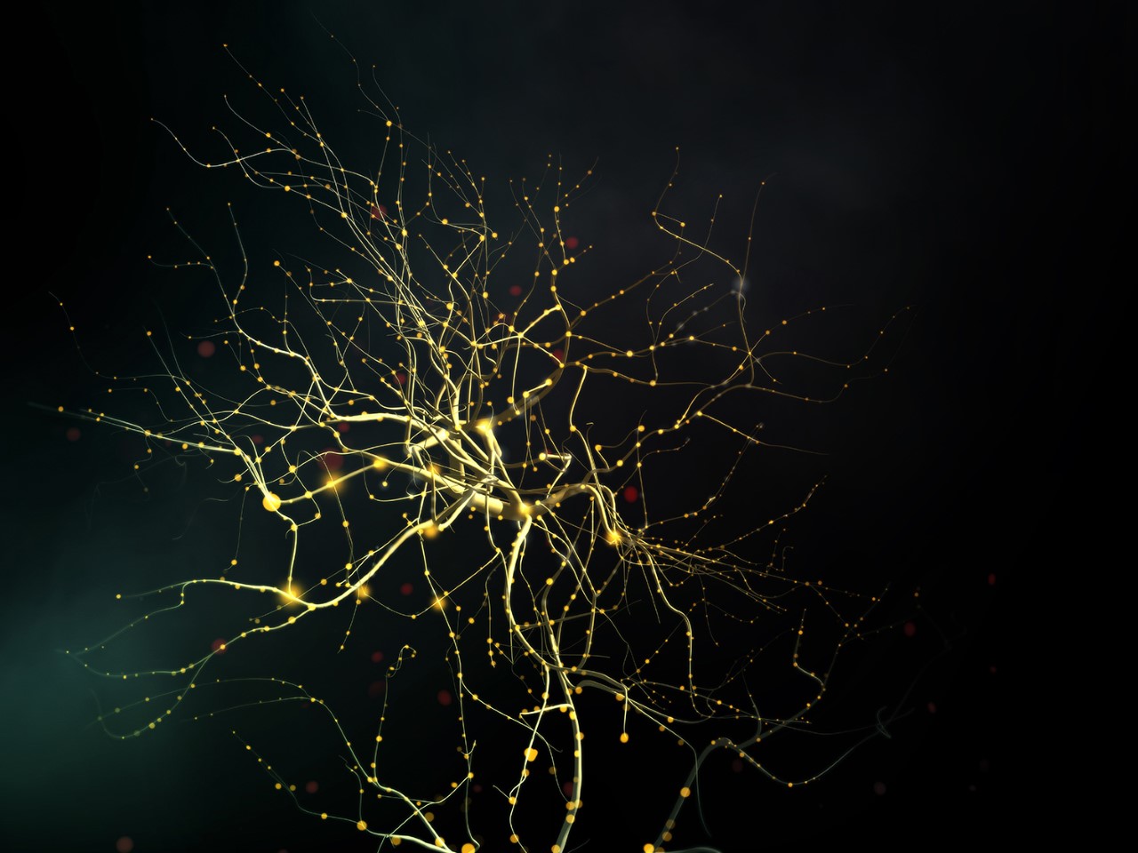 Thumbnail Neuronal01sm